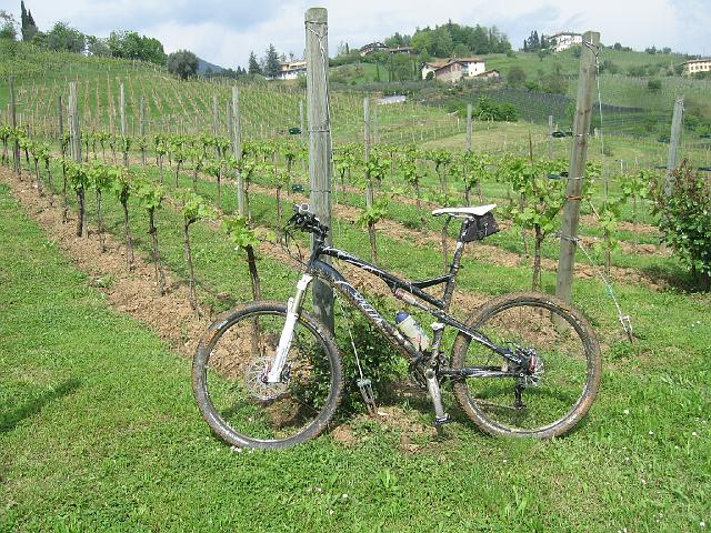 bici 015.JPG